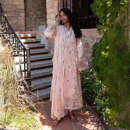 Pink rangrasiya 🌸