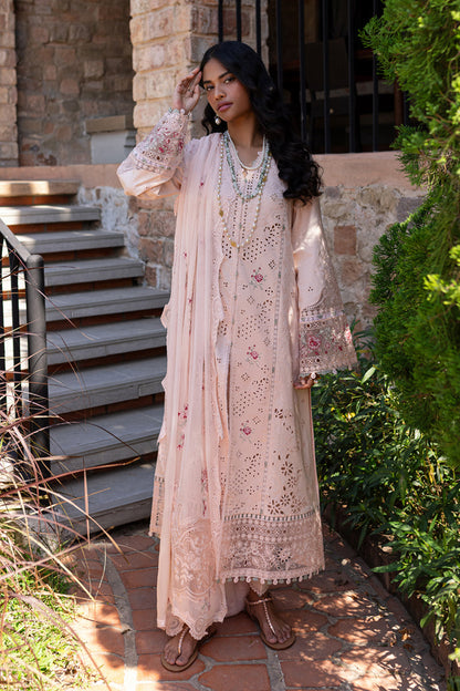 Pink rangrasiya 🌸