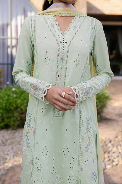 Green rangrasiya 💚
