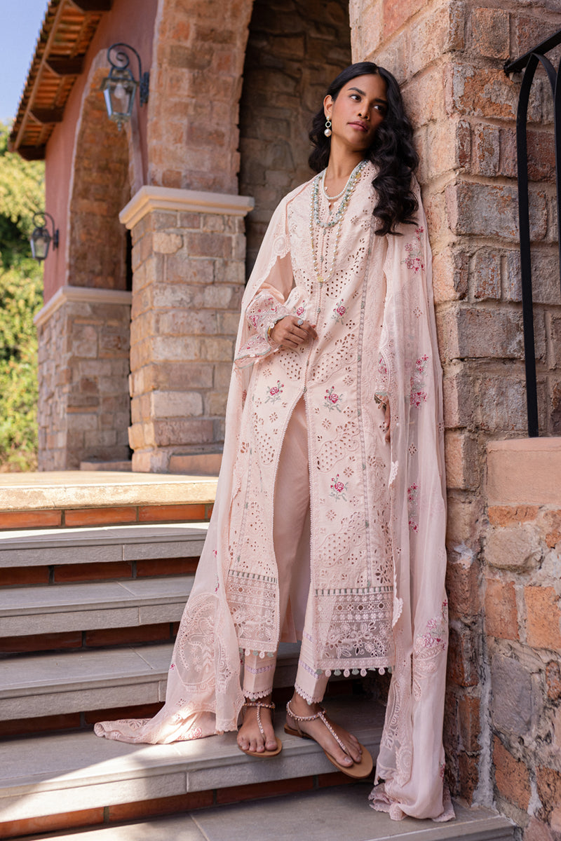 Pink rangrasiya 🌸