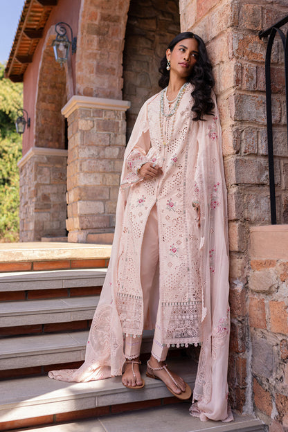 Pink rangrasiya 🌸