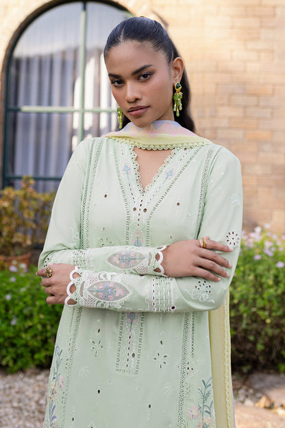Green rangrasiya 💚