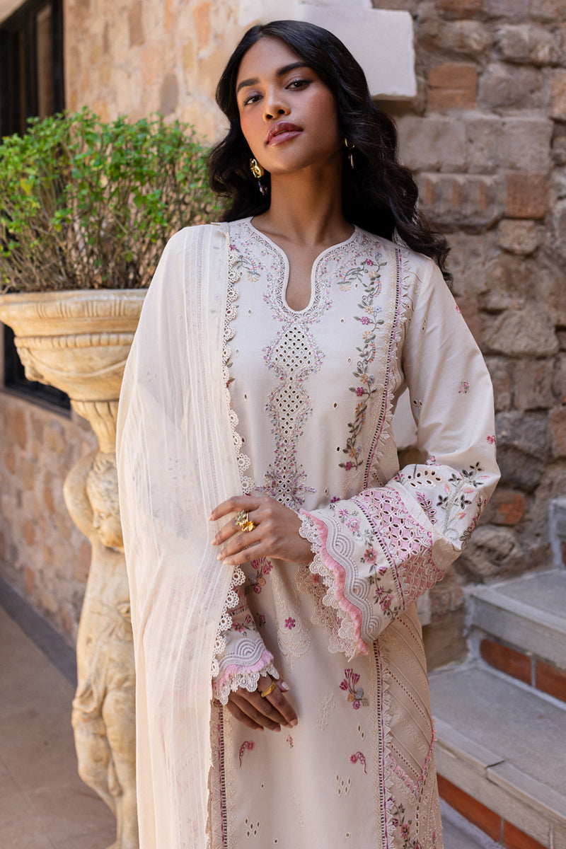 White rangrasiya 🤍