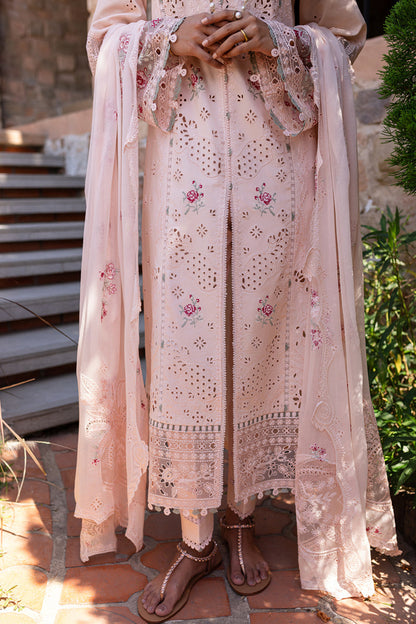 Pink rangrasiya 🌸