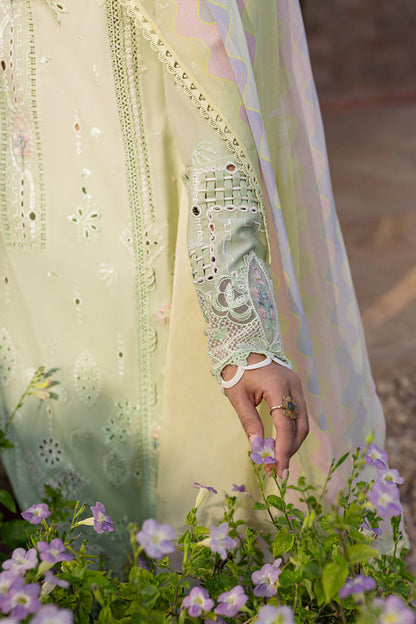 Green rangrasiya 💚