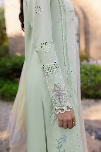Green rangrasiya 💚