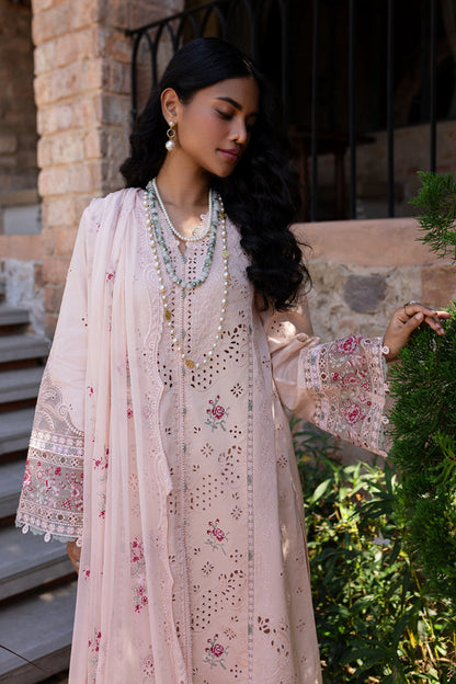 Pink rangrasiya 🌸