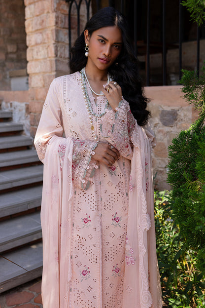 Pink rangrasiya 🌸