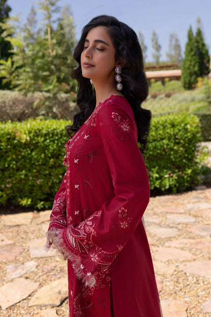 Red rose rangrasiya 🌺
